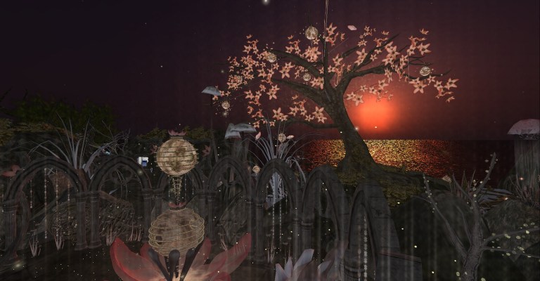 Gorgeous sunset behind the spirit tree at Ichi-go Ichi-e.