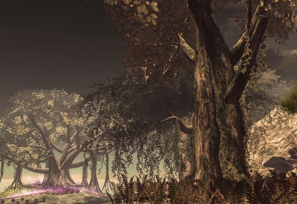 Fires of Mischief Grand Opening Photo Contest First Place Winner - "In a Lonely Place" by Burning Prophets